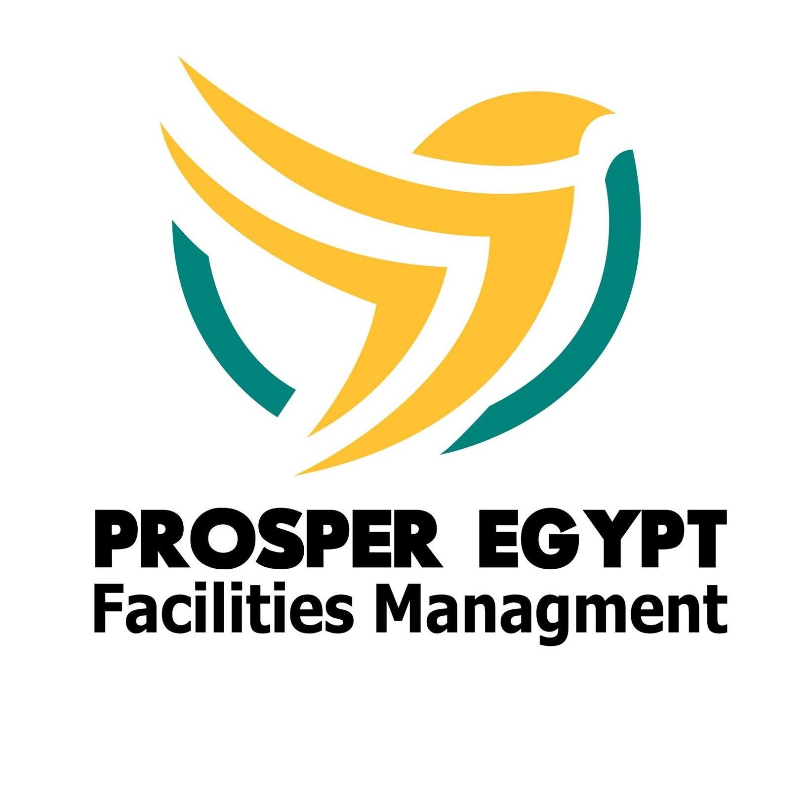 شركة بروسبر ايجيبت